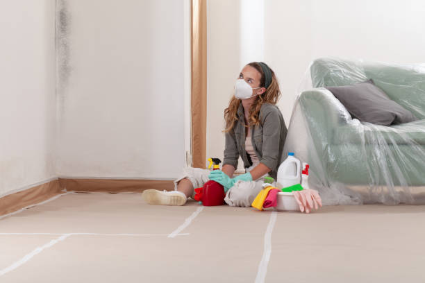 Reliable Mold Remediation contractor in Largo, FL by WQB Mold Removal